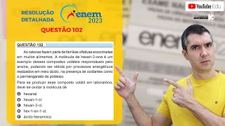 QUÍMICA ENEM 2023 quotAs cetonas fazem parte de famílias olfativas encontradas em muitos alimentosquot [upl. by Oisor438]