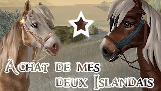 SSO  Achat de mes deux Islandais [upl. by Ainirtak]