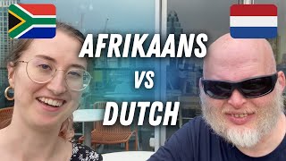 Speaking both Dutch amp Afrikaans with Richard Simcott 🇿🇦🇳🇱 [upl. by Ros]