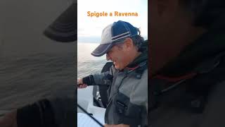 Spigole a Ravenna  seabass seabassfishing videopesca videofishing pescare videoyoutube [upl. by Xylon]