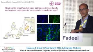 Graphene Oxide Interactions with Innate Immune Cells [upl. by Pillihpnhoj]