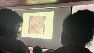 Neuroanatomia funcional 1 [upl. by Decker]