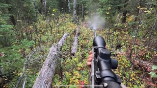 First Bull down  BC elk hunt [upl. by Carvey30]