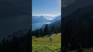 Aeschi bei Spiez Switzerland 🇨🇭 switzerland thun hike shorts [upl. by Retsila459]