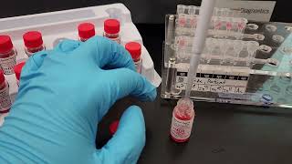 Blood Banking How to Perform a Gel Antibody Identification Panel [upl. by Anilegnave]