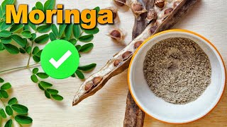 4 Beneficios De LA MORINGA Para Tu Salud 🌿 Como Se Toma Propiedades De La Moringa✅ [upl. by Nayt417]