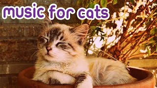 15 Hour Cat Music Special RelaxMyCat Music 🐈🎶 [upl. by Araed937]