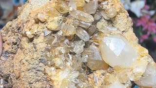 Crystal Hunting Mcadoo PA Evening  Night 🌙Rockhounding POINTS amp CLUSTERS Found pennsylvania [upl. by Let109]