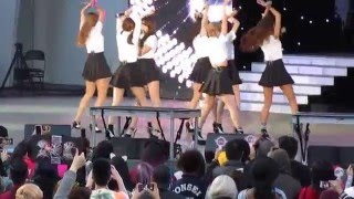 AOA Miniskirt KTMF14 2016 [upl. by Alten]