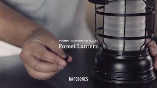 How To Charge The Forest Lantern [upl. by Cadell]