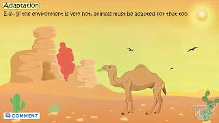 Adaptations  Desert Adaptation  Science [upl. by Aramois]