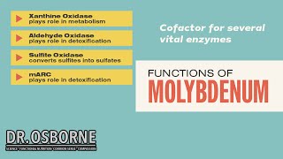 Discover How Molybdenum Affects Your Bodys Metabolism [upl. by Eedya]