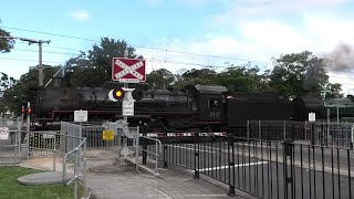 Level Crossing Update Corrimal NSW Australia [upl. by Alimaj]