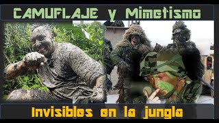 CAMUFLAJE y Mimetismo – Detrás de las líneas ENEMIGAS [upl. by Ahsieit577]