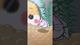 Kissing gourami 💋🐟 animation original cartoon [upl. by Jorie]