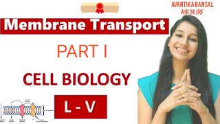 Membrane TransportFacilitated DiffusionActive TransportCarrier and Channel ProteinCell Biology [upl. by Nnylharas]