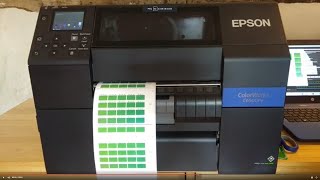 How Easy Is It Episode 4 Epson ColorWorks C6500 Spot Colour Matching [upl. by Aelyak]