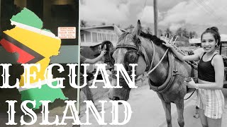 My trip to leguan island  Beauty of the countryside guyana vlog 2023 [upl. by Kreitman]