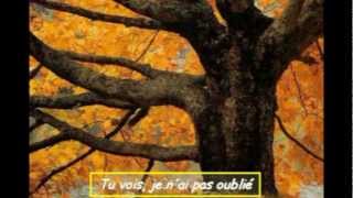 Les feuilles mortes par Yves Montand [upl. by Fulviah]