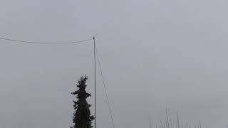 Multiband End Fed Antenna System using Spiderpole [upl. by Rovelli]