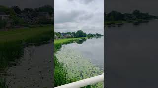 Kinderdijk Netherlands kinderdijk netherlands netherlandstourism europe nature shorts short [upl. by Eiaj]