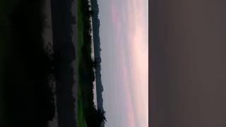 দৃশ্য 25 shortsfeed viewsviralvideosubscribersgrow subscribemychannel naturemysweetdreams [upl. by Netnert]