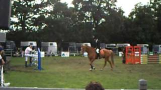 Ruiter met paard Santana bij concours de wolden 2007 deel 1 [upl. by Nador]