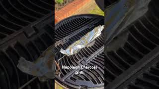 Oiled Napoleon Cast Iron Grill napoleon grill bbq oil [upl. by Andres838]