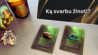 Taro  Ką svarbu žinoti [upl. by Ociram]