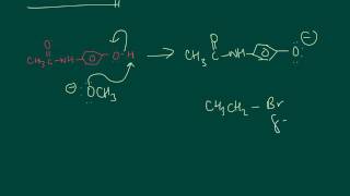 Williamson ether synthesis  phenacetin [upl. by Adihsar657]