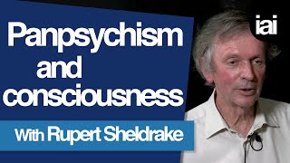 How Panpsychism Can Explain Consciousness  Rupert Sheldrake [upl. by Stafani900]