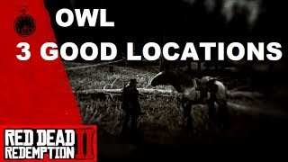 Red Dead Redemption 2 Scrawny Nag Tag Team [upl. by Elleirb]