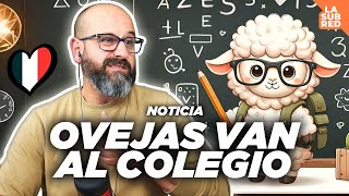 🐑 OVEJAS VAN AL COLEGIO  Noticias  La subred de Mario [upl. by Anum406]