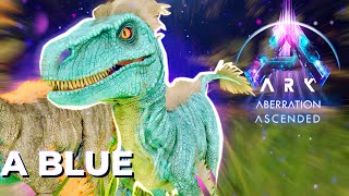 ARK ABERRATION 2  Domei a BLUE Velociraptor ASCENDED [upl. by Harlan]