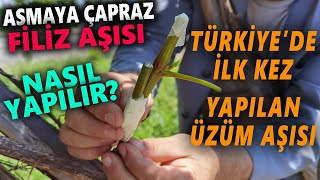 Evde Rakı Yapımı  Konyak Yapımı ve Yaş Üzüm Rakısı Efsanesi [upl. by Nomolas]