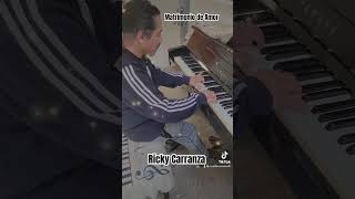 Matrimonio de Amor cover Ricky Carranza [upl. by Enirehtakyram951]