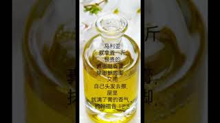 Alabaster Jar 香膏的玉瓶 [upl. by Alemac373]