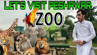 quotWILD ADVENTURES AT PESHAWAR ZOO 🦁🌳quot [upl. by Prudy753]