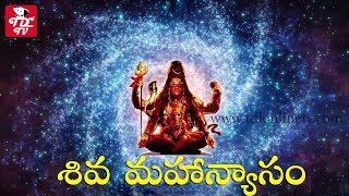 Mahanyasam Rudrabhishekam Shiva Stotram  Lord Shiva Mantra  Sanskrit Hinduism Kundalini Om Chakra [upl. by Leifeste975]