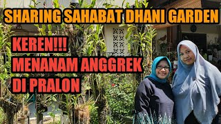 Orchid Garden Tour 1 Menanam Anggrek di Pralon Membuat Taman Tambah Cantik [upl. by Irreg]