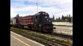 Tunisian GM loco of Class GT departing Bir Bouregba for Sousse [upl. by Accalia]