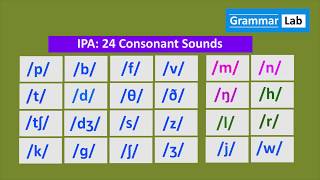 IPA 24 Consonant Sounds [upl. by Adrianne]