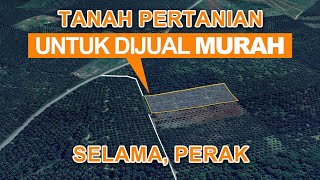 PALING MURAH 415 EKAR Tanah Pertanian di Selama [upl. by Dagley]