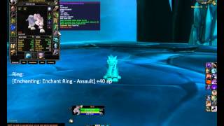 WOW  Feral Druid PVE DPS Guide 335 ENG private server WOD [upl. by Olcott]