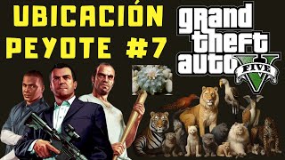 Ubicaciones de Peyote en GTA V 7 Modo Historia [upl. by Kennan424]