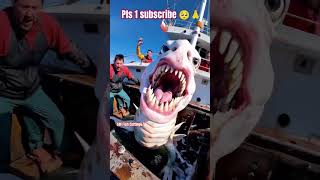 Danger fish this is the Atlantic mahasagar 🌍🌊 danger fishing viralvideo shorts smfishcutting67 [upl. by Worlock787]