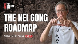 The Roadmap  Part 1  An Authentic Guide to Practicing Nei Gong [upl. by Revell]