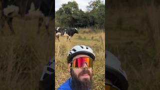 Quem lembra do livro “a vaca malhada” Hahahaha bora pedalar bike mtb [upl. by Eilrahc]