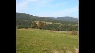 Українська народна пісня Ой убрали Куста Ukrainian Folk Song Ukraińska pieśń Beskid Niski Zdjęcia [upl. by Subir]