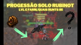 Tibia Rubinot Progressão Solo de Leveling e FarmOnde farmar Como Farmar e Progredindo com Profit [upl. by Namrej]